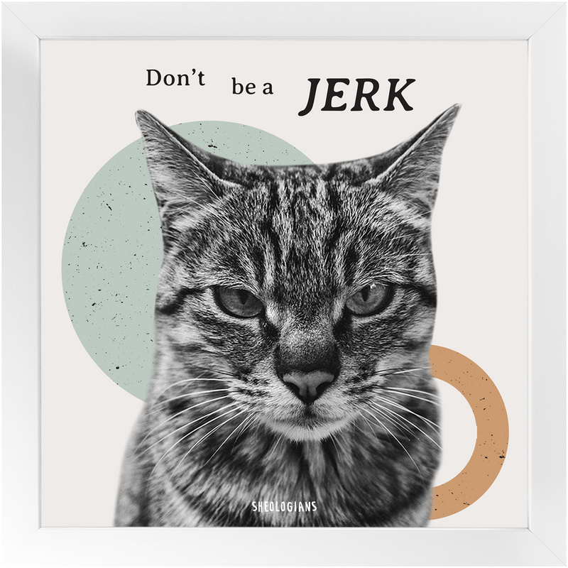 Don't Be A Jerk | Fine Art Framed Print